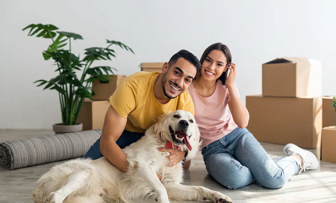 Need A Charming Friend? Adopt a Dog