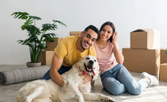 Need A Charming Friend? Adopt a Dog