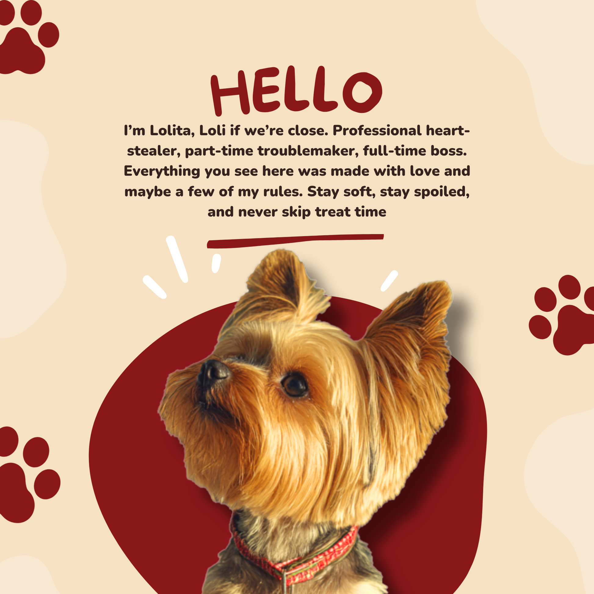 Lolimeal™ 5-in-1 All-In-One Pet Shampoo